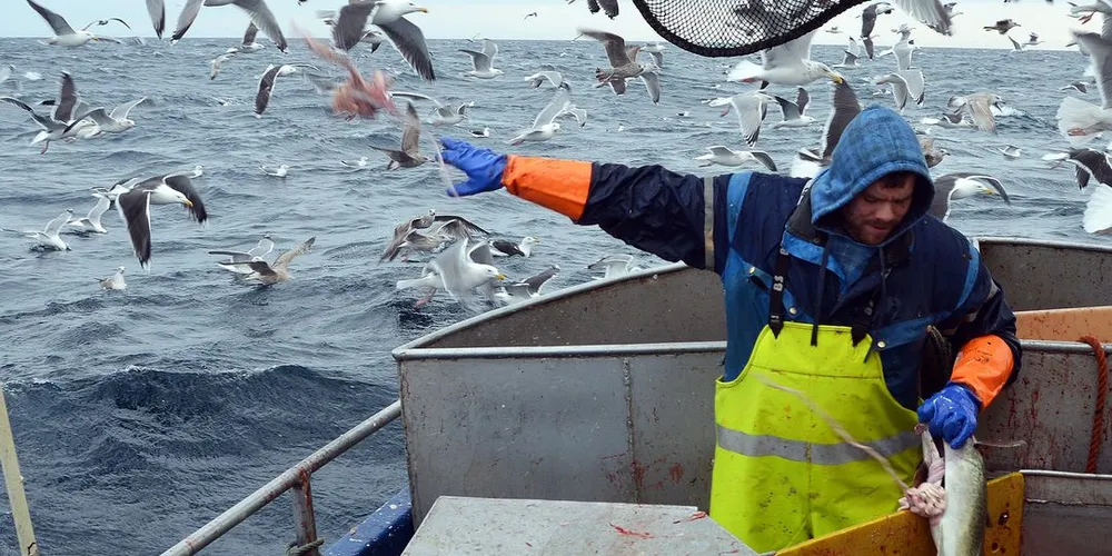 10 deltakeradganger skal deles ut og det er 58 kandidater om beinet. Ill.foto: Kenneth Didriksen