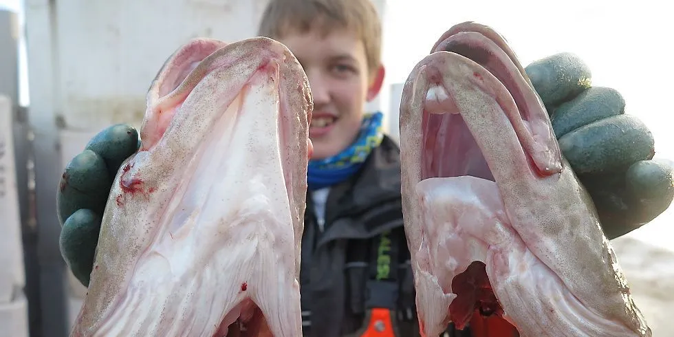 SV vil gi unge fiskere tilskudd til kjøp av sin første båt. Ill.foto: Mia Kanstad Kulseng