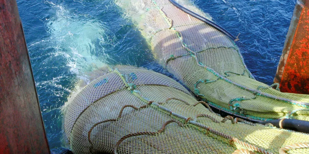 Kritisk: Flakstad Fiskarlag advarer kraftig mot fangst av raudåte - som de frykter vil gå ut over fiskeyngel og fiskeriene. Forskere sier på sin side at mengdene av raudåte er så enorme at de nærmest ikke kan fattes.