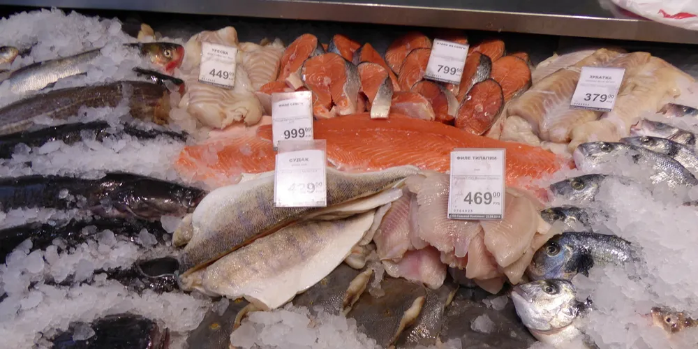 Norwegian seafood producers 'playing by the rules' in Russia