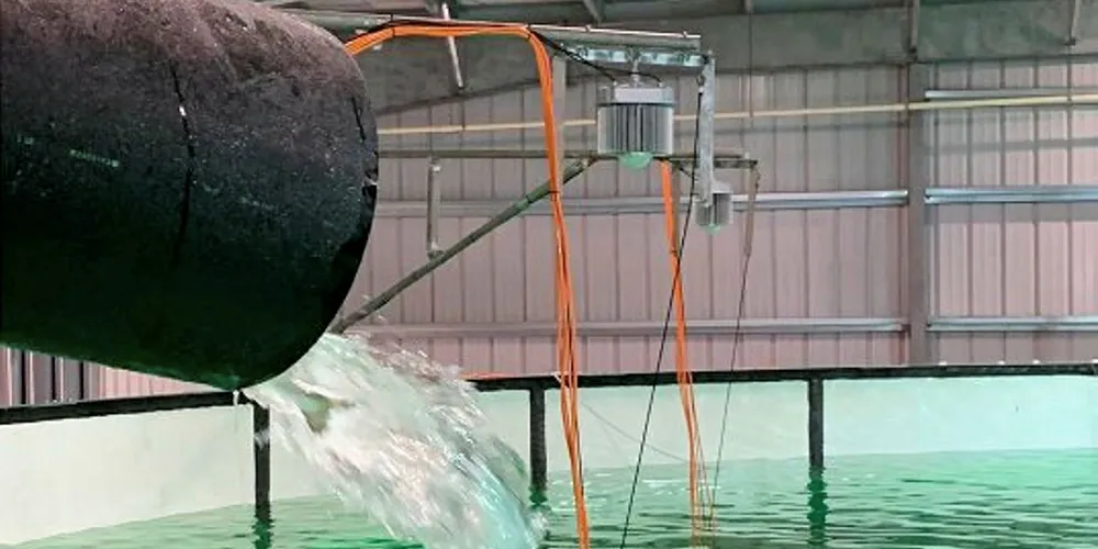 Atlantic Sapphire land-based salmon reach grow out phase. Atlantic Sapphire.
