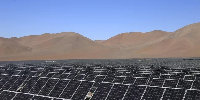 SunEdison looks to sell Buckthorn PV project in Texas