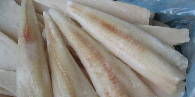 Pacific Andes fundraising for pollock fishing expansion