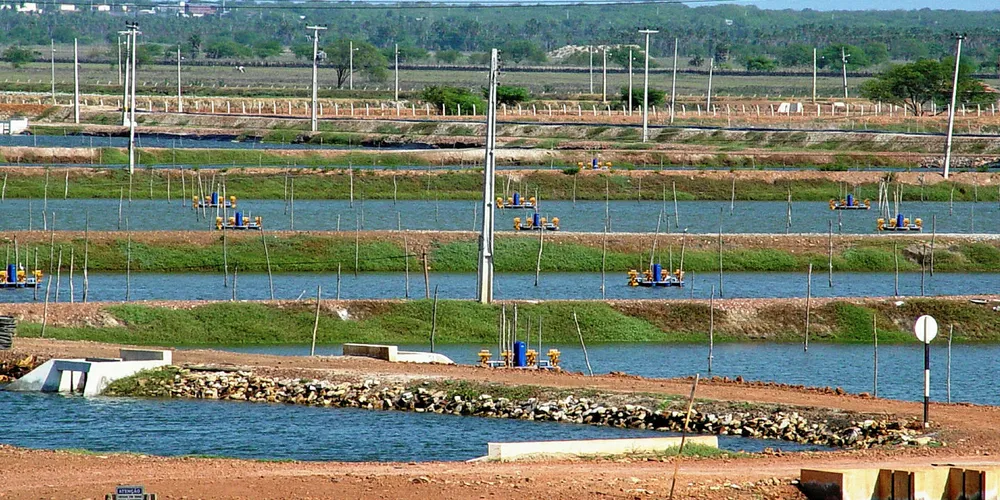 Ramping up production in Brazil.