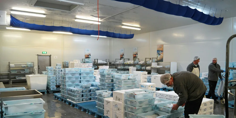 Products are being sorted for delivery the next morning.