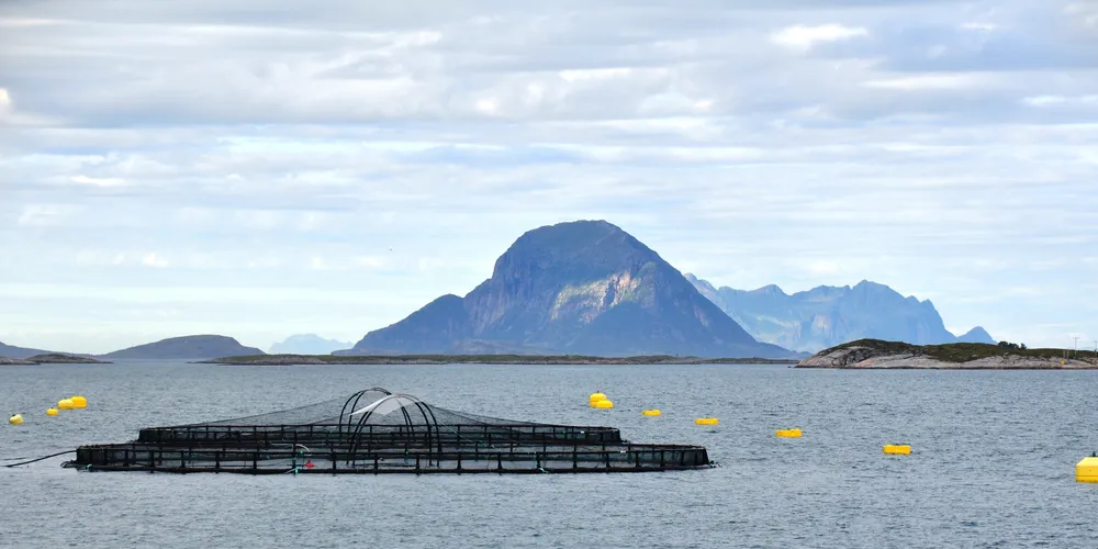 Fjorden er CO2-lager. (Foto: Bent-Are Jensen)