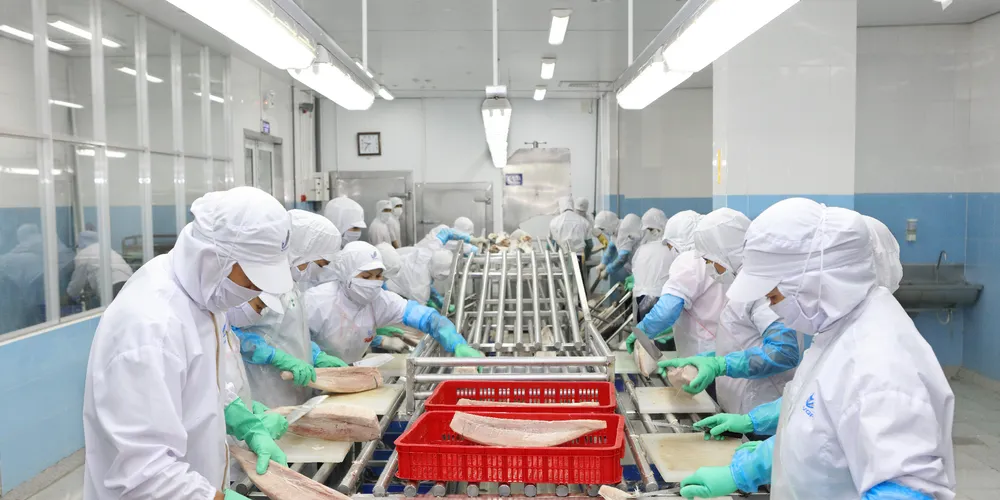 Photo: Anova Seafood