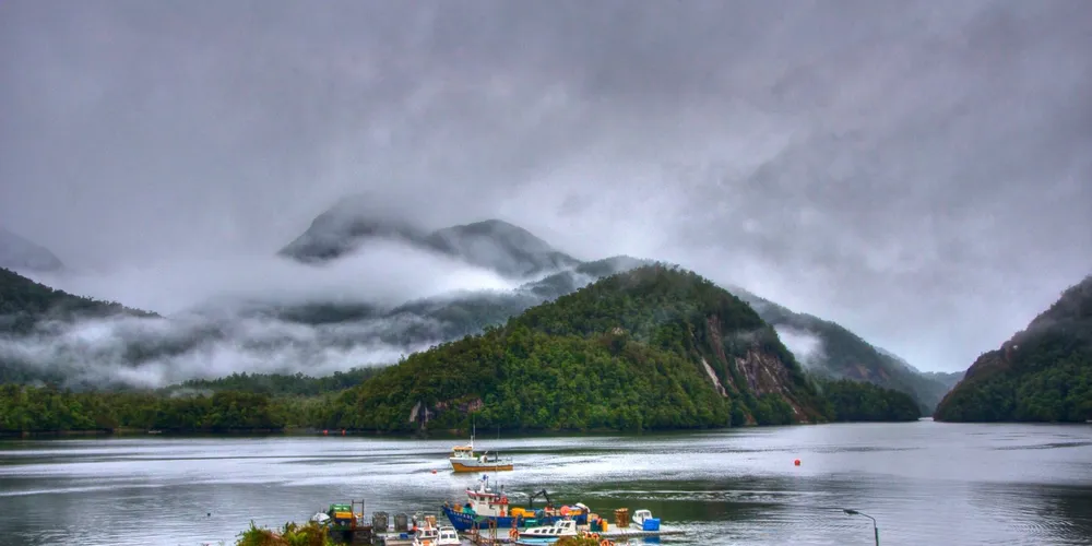 Photo: Cooke Aquaculture