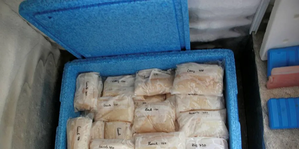TURISTFISKE: Bare de rene filetene tas med ut av landet, mens resten av fisken kastes. Her må fiskeriministeren snart ta grep, mener dagens gjesteskribent, som vil at grensen for hvor mye fisk man kan ta med ut av landet skal regnes om til rund fisk.Arkivfoto: Torhild Måkestad Martinussen