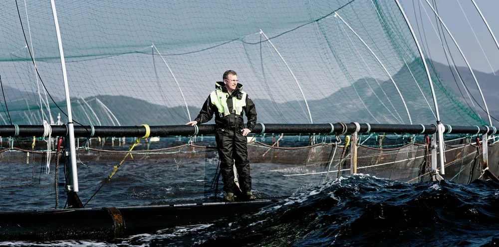 Konsernsjef Andreas Kvame i Grieg Seafood har ikke gode nyheter.