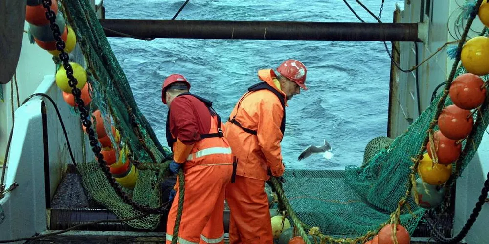 HAVFORSKING: Det er ikkje rett at ICES har ein «streng fortolking» av føre-var-tilnærminga, slik det kjem til uttrykk i kronikken frå Fiskebåt av 14. mai, skriv Havforskingsinstituttet. Her eit glimt frå prøvetaking om bord i «G.O Sars».Arkivfoto: Kjartan Mæstad/Havforskningsingstituttet