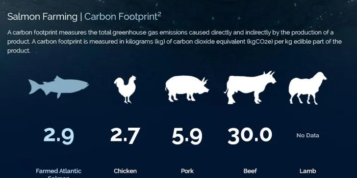 GSI report: How does salmon farming measure up?