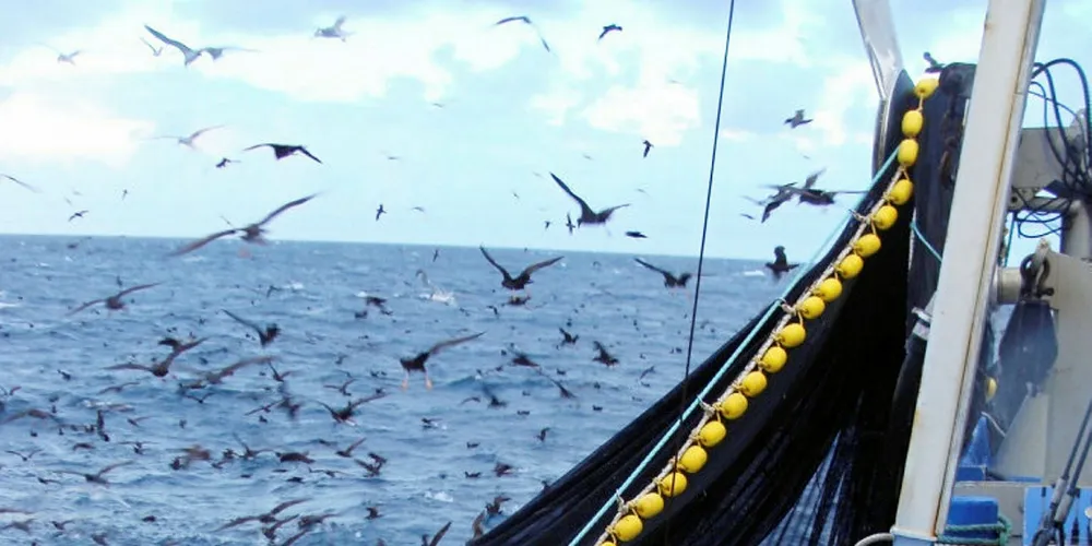 South Australia's sardine fishery produces between 27,500 and 42,000 metric tons each year.