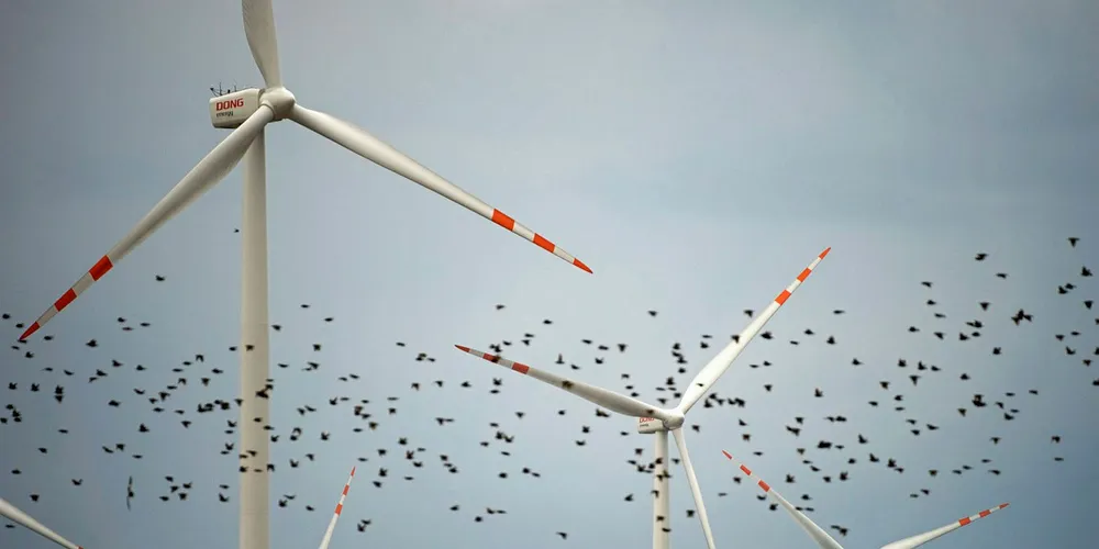 Polish wind farm at Lake Ostrowo