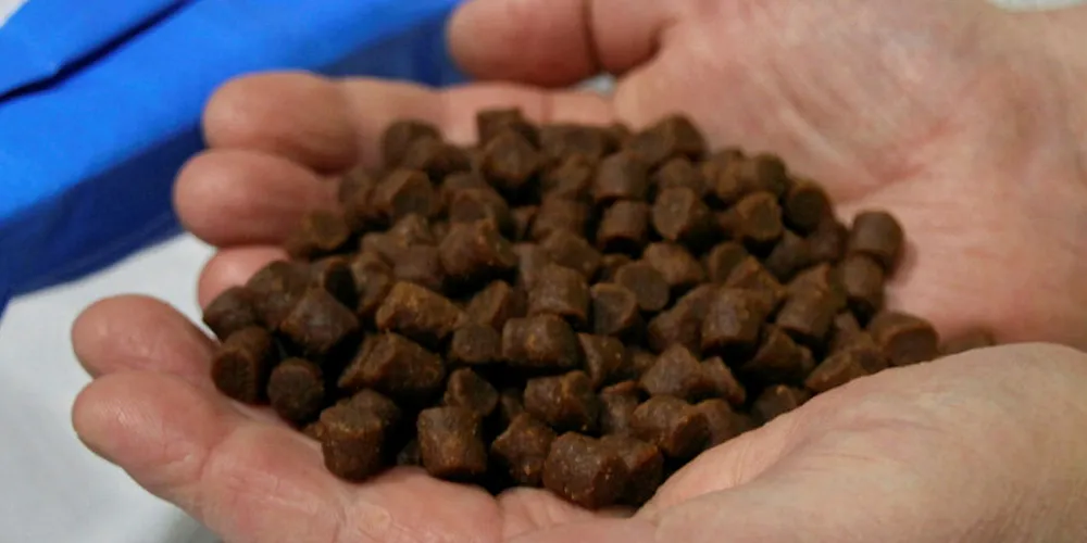 The study may have at least one hand in the future of the feed sector.