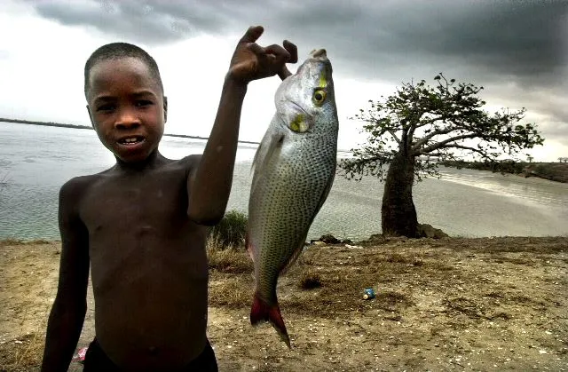 Catch of the day: for Technip