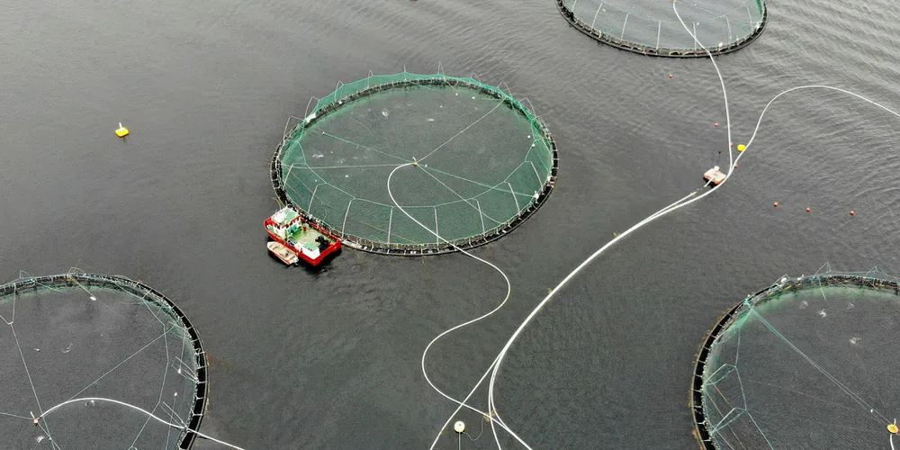 HAVBRUKSFOND: Det verserer uenighet om fordeling av midler fra havbruksfondet i tilfeller der lokaliteten omfatter areal som ligger i to forskjellige kommuner.