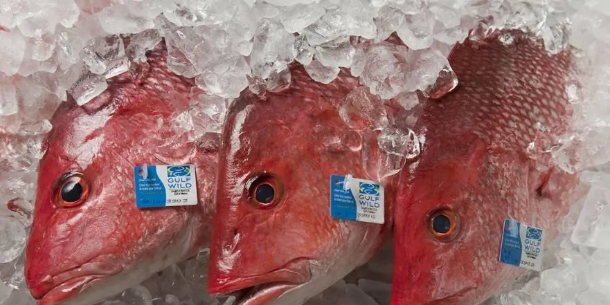 Buyers embrace Gulf of Mexico transparency program
