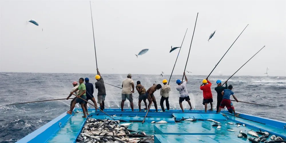 John West Australia, Anova commit to pole and line tuna