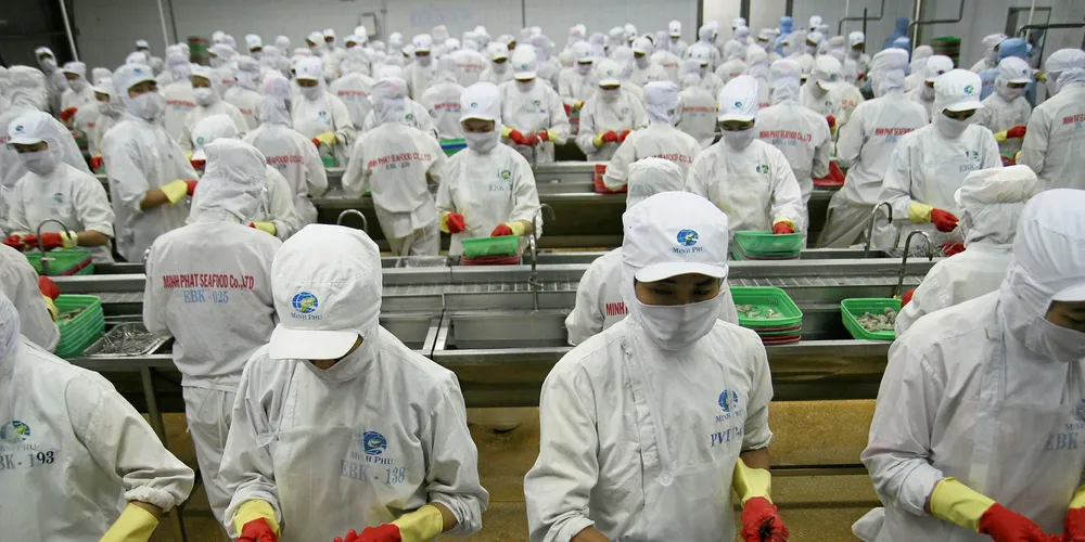Seafood processing plant, Vietnam.