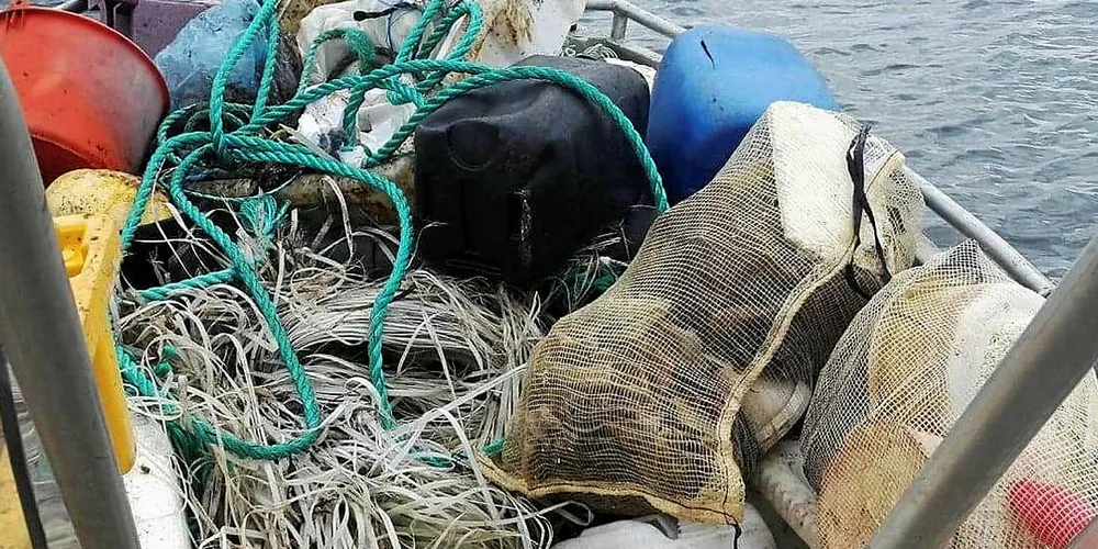 RYDDEPORTAL: Miljødirektoratet støtter 69 prosjekter mot marin forsøpling i år. De anmoder alle strandryddere om å bruke «Hold Norge Rent» sin ryddeportal til å koordinere ryddeaksjoner og registrere søppel.
