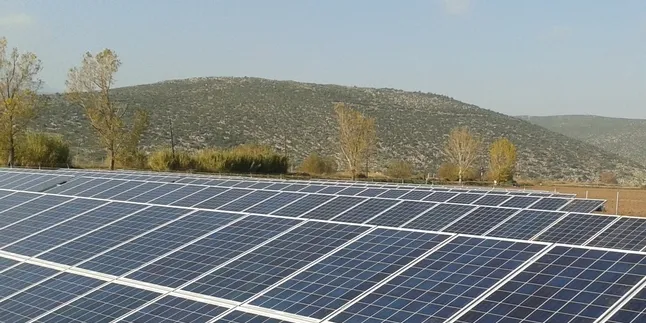 A Conergy plant