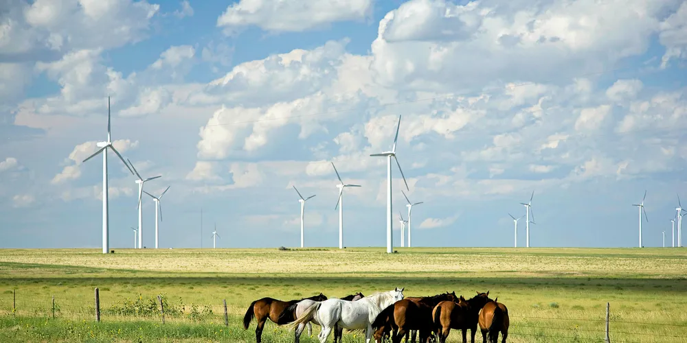 Dominion wind push could spur first Virginia project