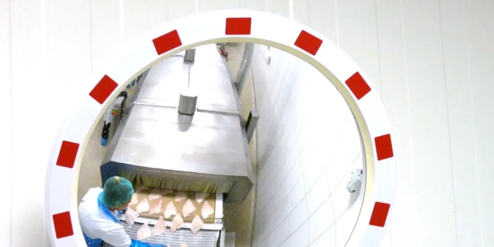 A processing line in Royal Greenland's Koszalin, Poland plant.