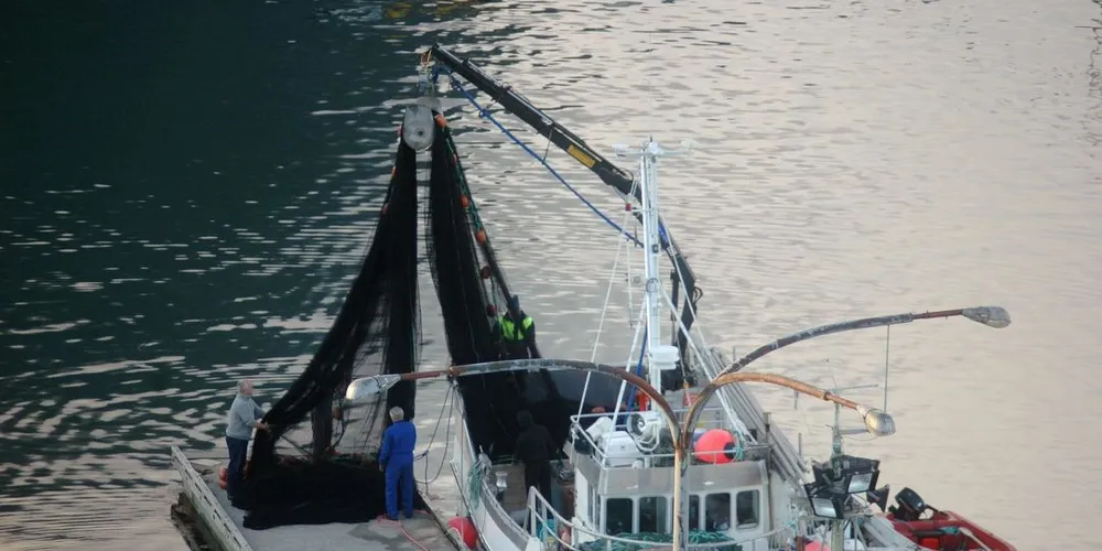 "Evengutt" og hjelpebåtene ved kai i Svolvær. Innimellom vind og regn har notfiskerne tatt seg tid til nødvendig arbeid med notbruket i lofothovedstaden. Foto: Frank Einar Iversen