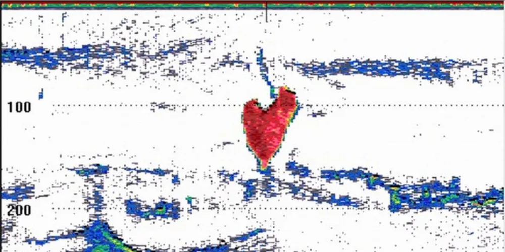 Dette ekkogrammet har fått namnet «Heart attack» av havforskarane i Antarktis: Ein hjarteforma krillsverm med eit predatorangrep som «pila i hjarta». Kjelde: Havforskingsinstituttet