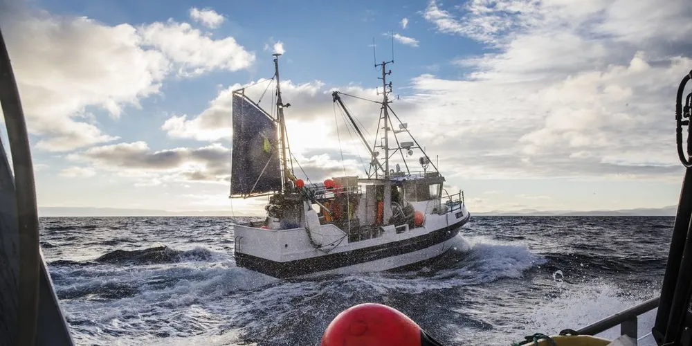 Fisker blir et stadig mer attraktivt yrke. Her er det fiskebåten "Kaja Marie" som legger ut på fiske.