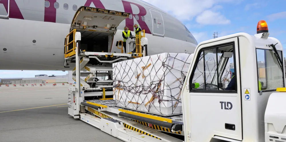 The airfreight market for salmon appears to live by its own rules. Trays of salmon boxes are loaded on board Qatar Airways cargo planes in Bodo, Norway.