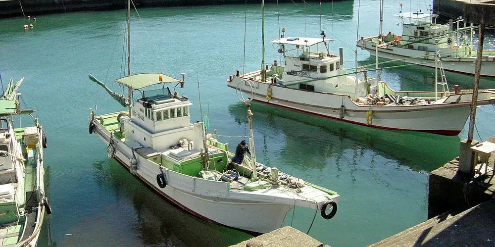 Japanese squid fishing boats.