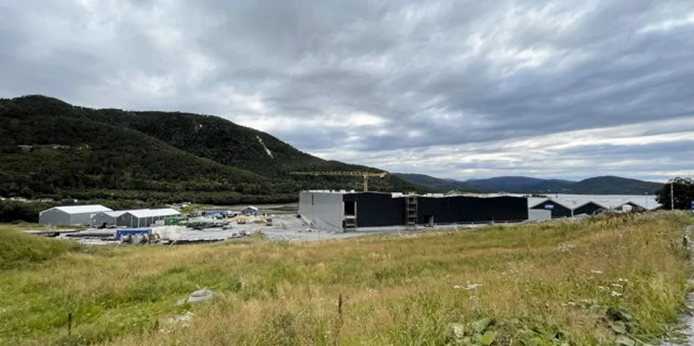Onsdag var det en arbeidsulykke der Lerøy bygger ut sitt anlegg i Hemne. Bildet er tatt rett i etterkant av ulykken.
