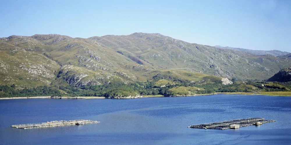 Salmon Farm