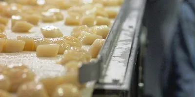 UPDATE: Eastern Fisheries preps for tight scallop supply