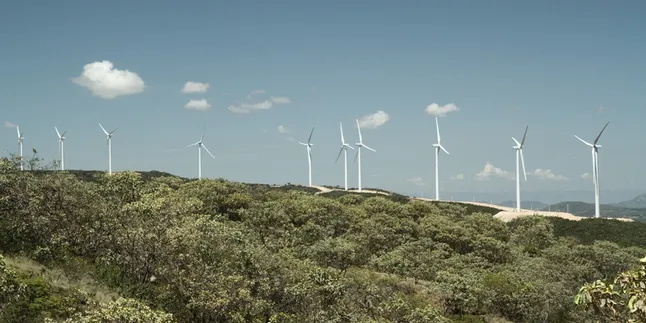 Proposed Brazilian green bonds market gaining support