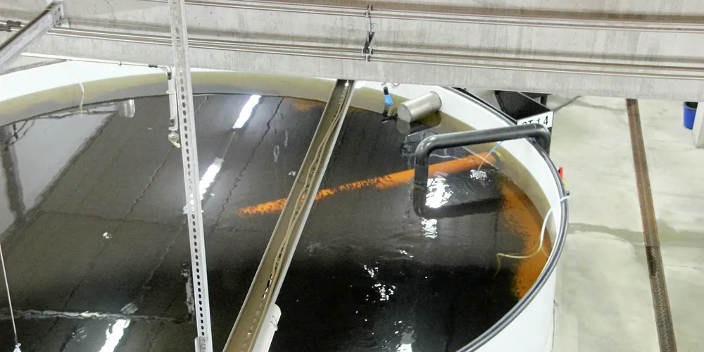 Illustration photo from an RAS facility.