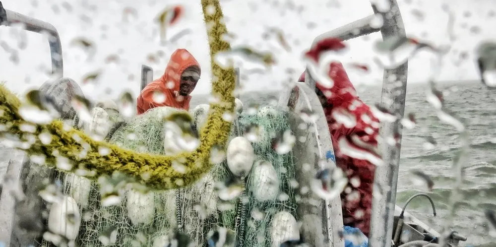 Constant rain and wind have been hallmarks of a rough Bristol Bay sockeye salmon season.