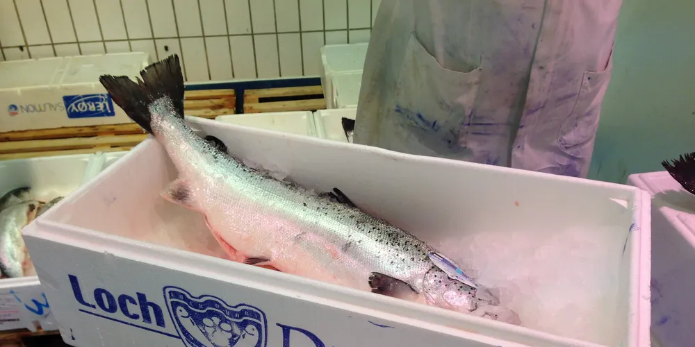 VIDEO: Loch Duart talks sustainability