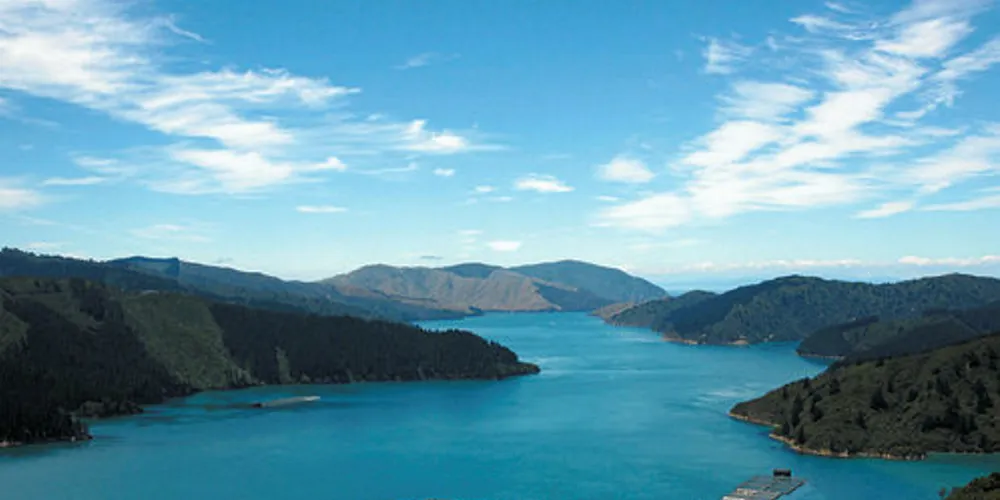 New Zealand King Salmon is fully supportive of the government proposal to move the farms.