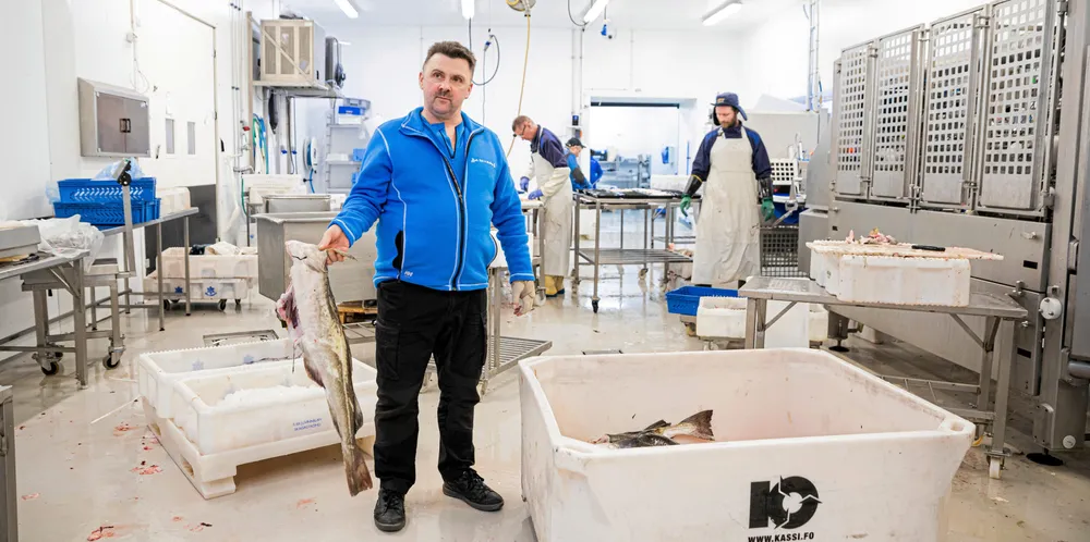 FISKESALGSLAGSLOVEN: – Vår oppgave er å sikre at fisken er fritt tilgjengelig i et åpent marked, skriver Norsk Villfisk i denne kronikken. Bildet er fra Karls fisk og skalldyr.