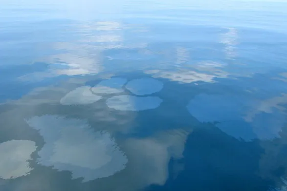 Oil sheen: Oil Search has suspended tanker loading operations at the Kumul marine terminal after spotting oil droplets on the sea surface