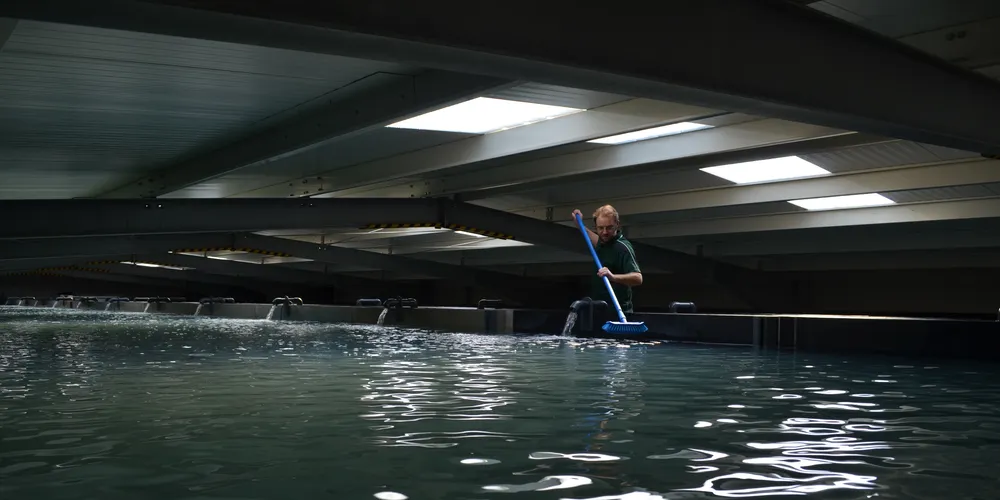 Photo: Green Aqua Farming