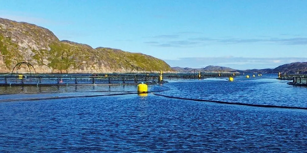 The company is Russia’s largest salmon farming operation.