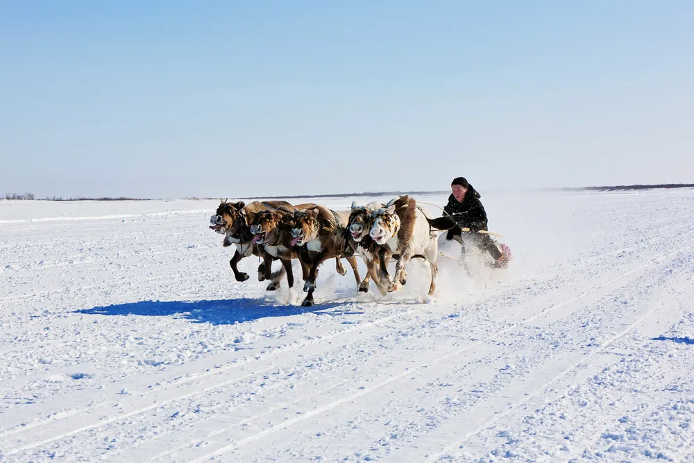 Gas export push: in Yamal region of West Siberia