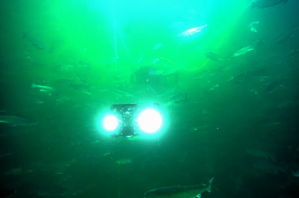 SubC3D har utviklet en selvgående undervannsrobot (ROV) for å overvåke livet under vann.
