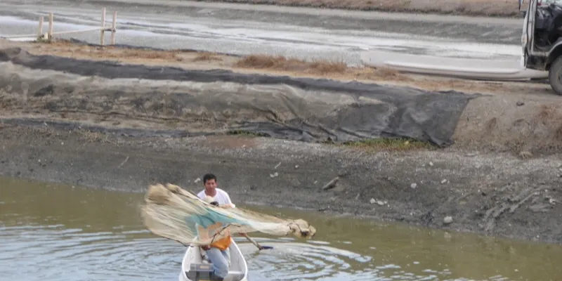 Picture Gallery: Songa and Naturisa Ecuadorian shrimp operations