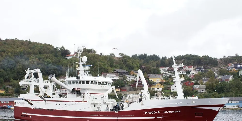 Kombisnurperen «Havskjer» fikk full klaff på silda 40 mil vest av Skomvær. Arkivfoto.