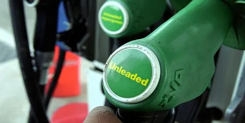 BP ditches jatropha to focus on ethanol and bio-butanol